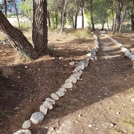 La Sonrisa Salinas (Alicante)